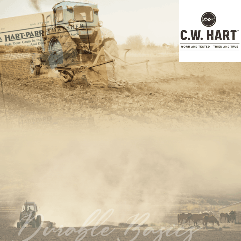 Micro Promo Image