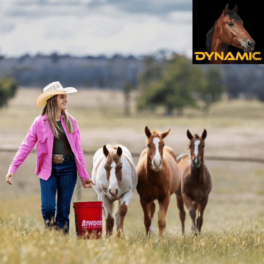Micro Promo Image
