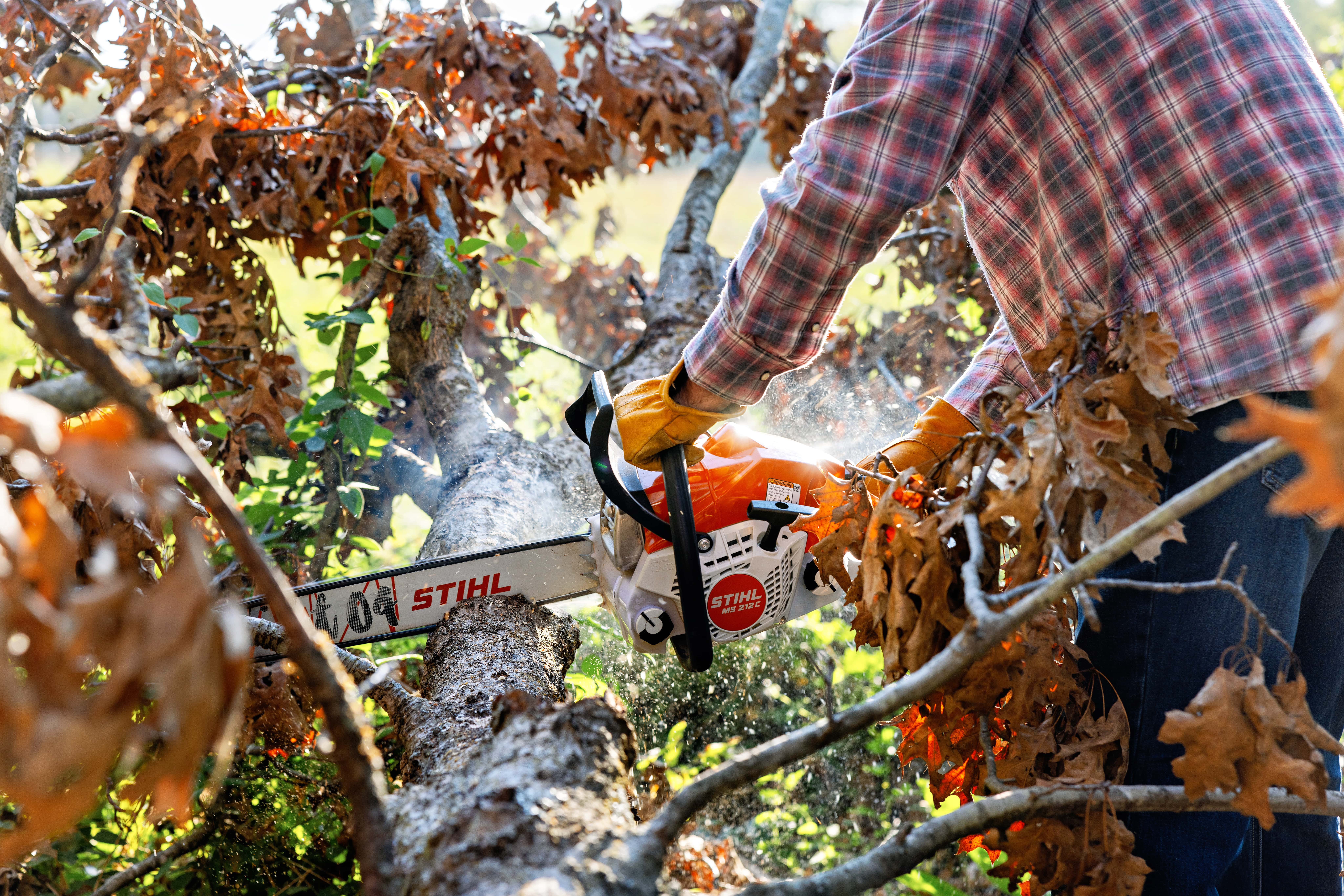 Family cleaning yard with rakes and bags
