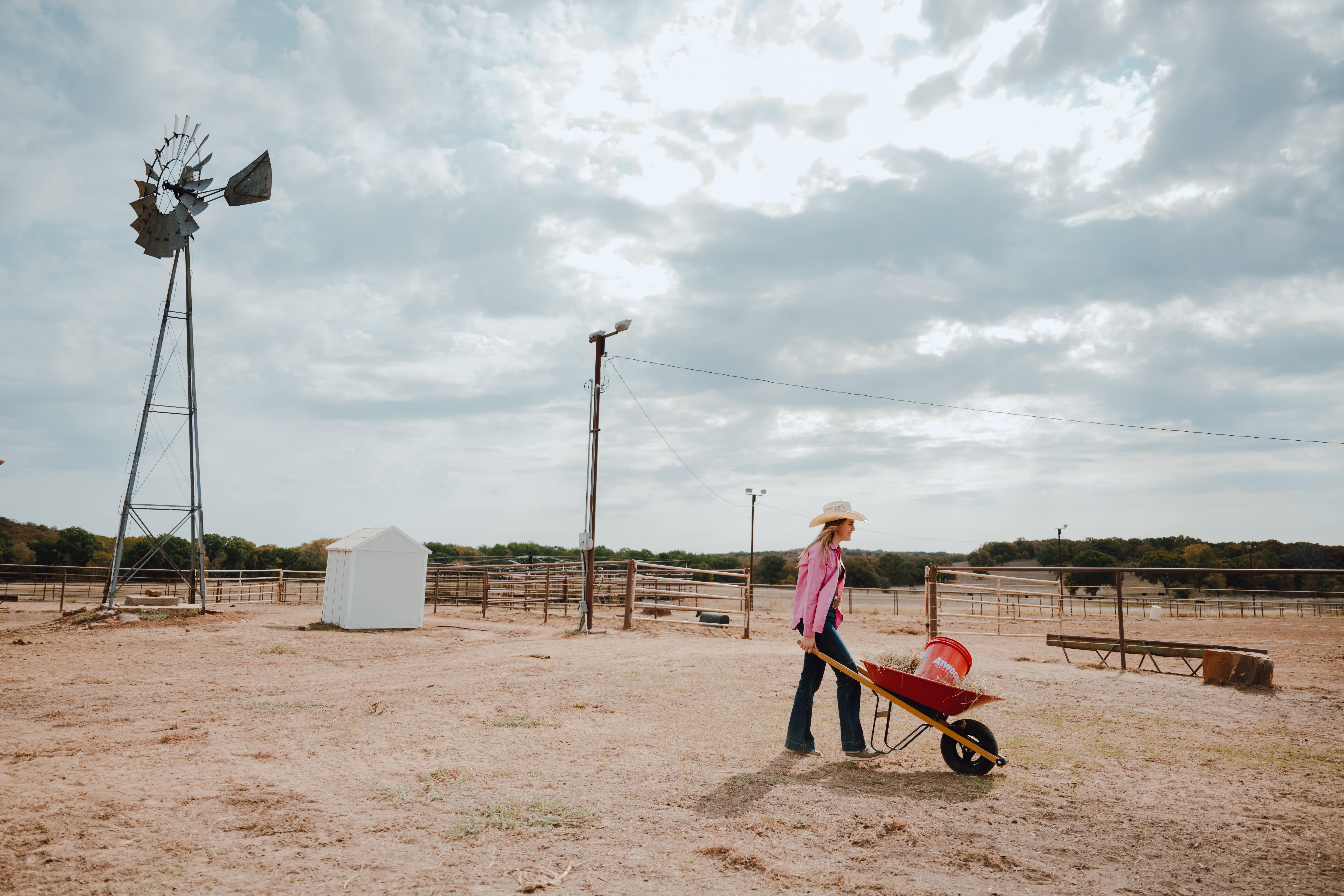 Compost and yard waste bags ready for pickup