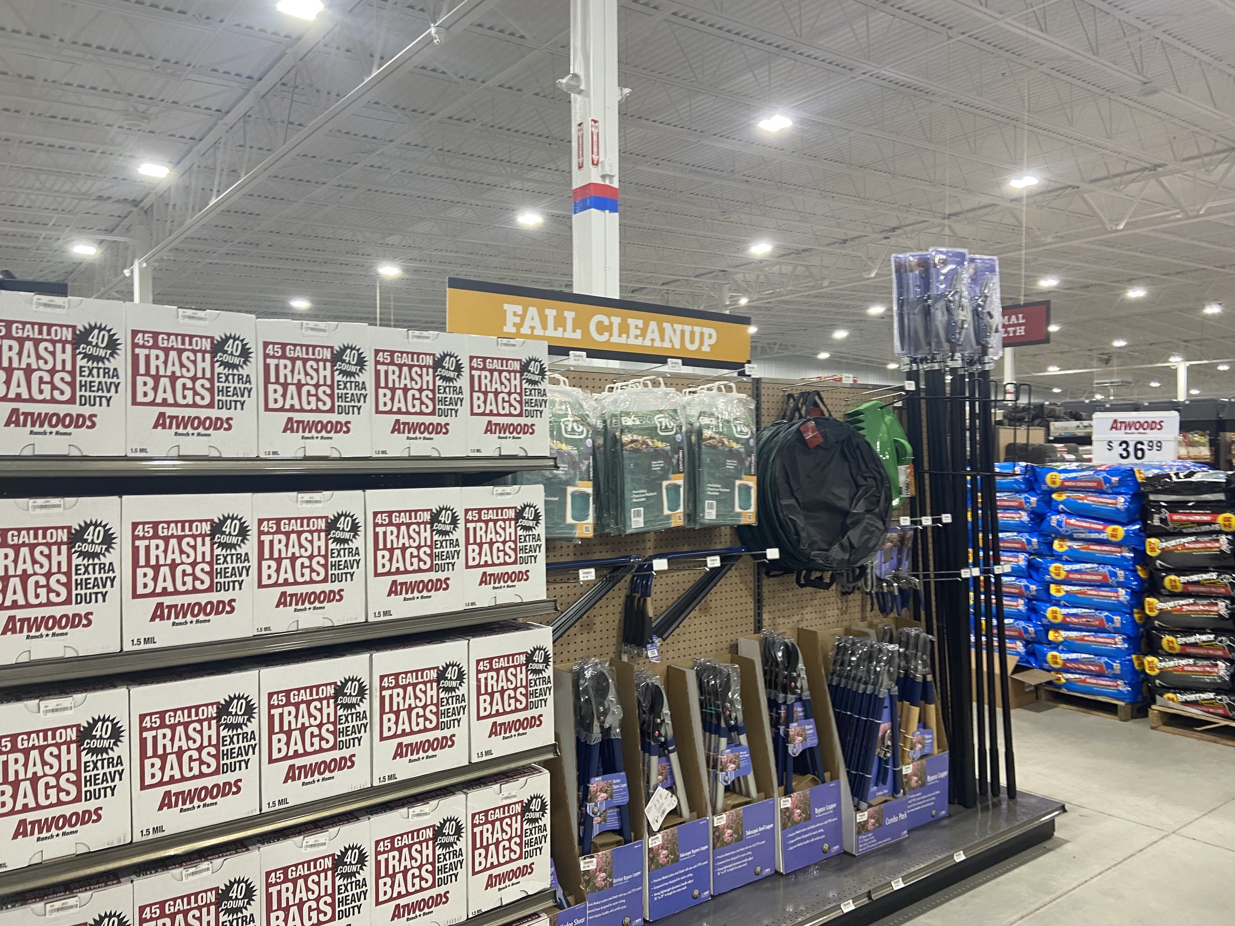 Blower clearing leaves from a walkway
