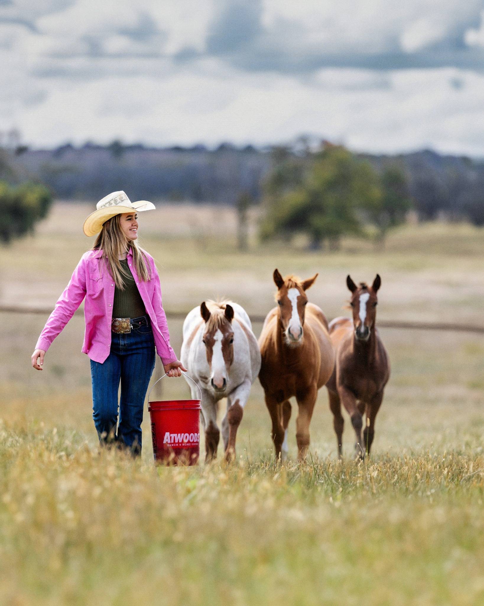 Horse Feed Image 2