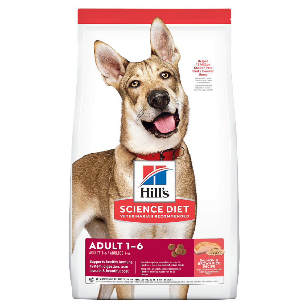 image of Dry Adult Dog Food- Salmon and Brown Rice, 14 lb