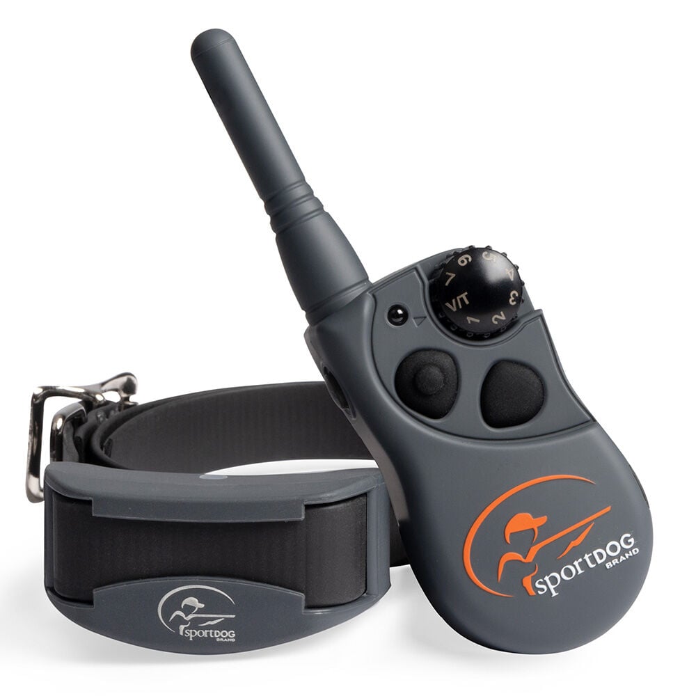 image of Field Trainer Standard Dog