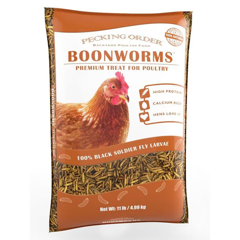 image of Poultry Treats- Boonworms, 11 lb
