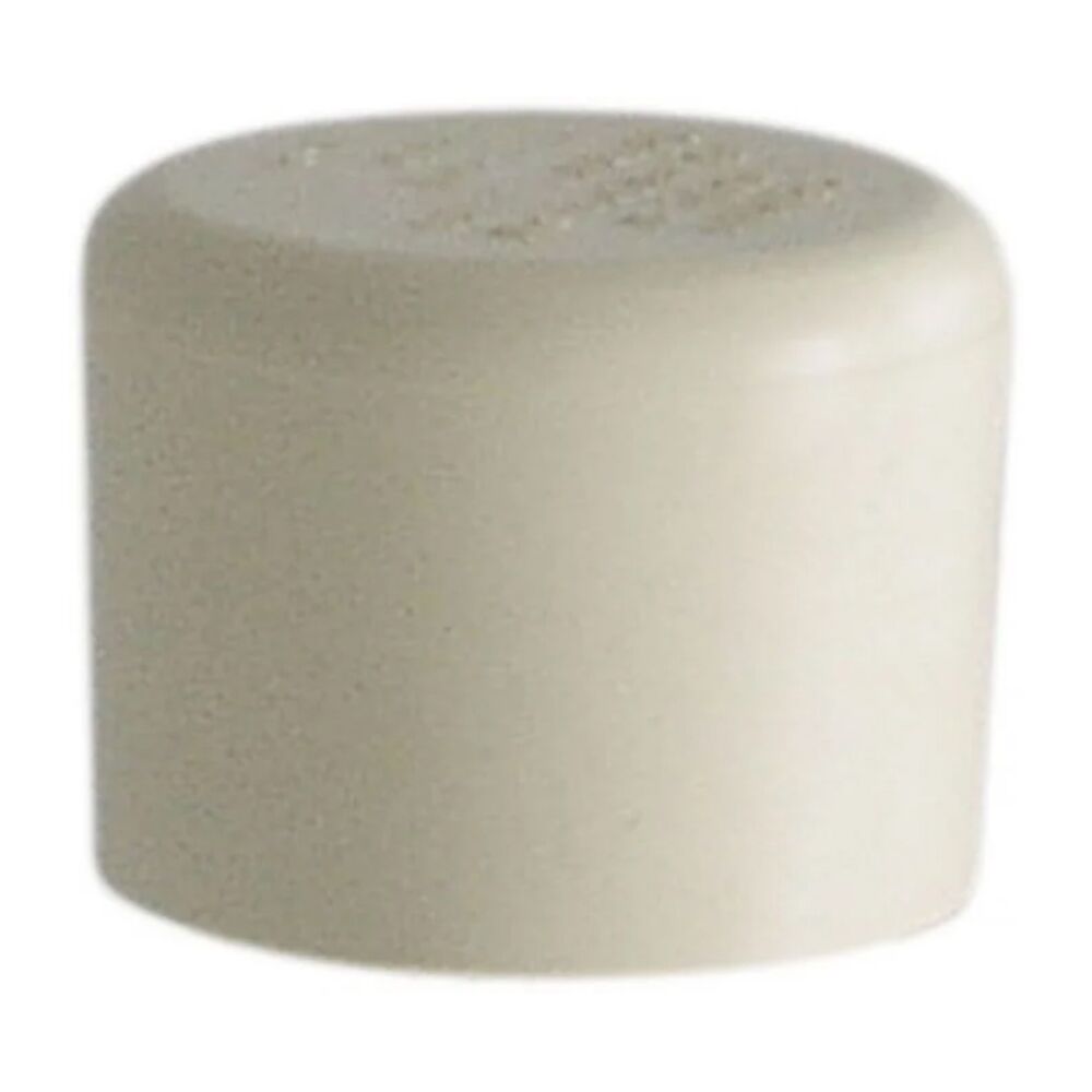 image of 1/2 Inch CPVC Cap Slip FCP CA-12