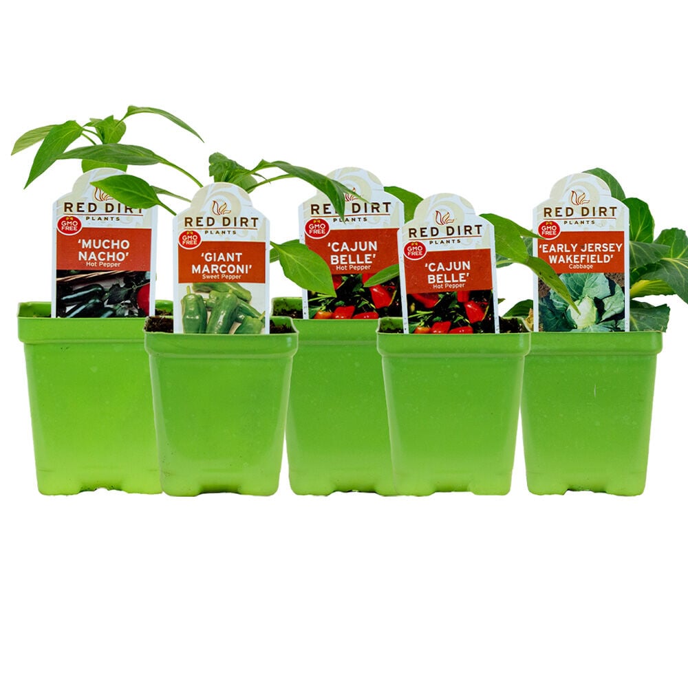 image of 4 in Vegatable Starters
