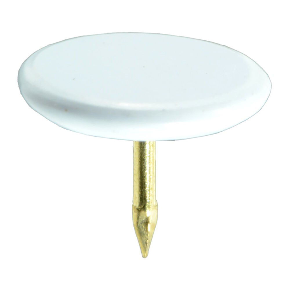 image of White Thumb Tack - 21973