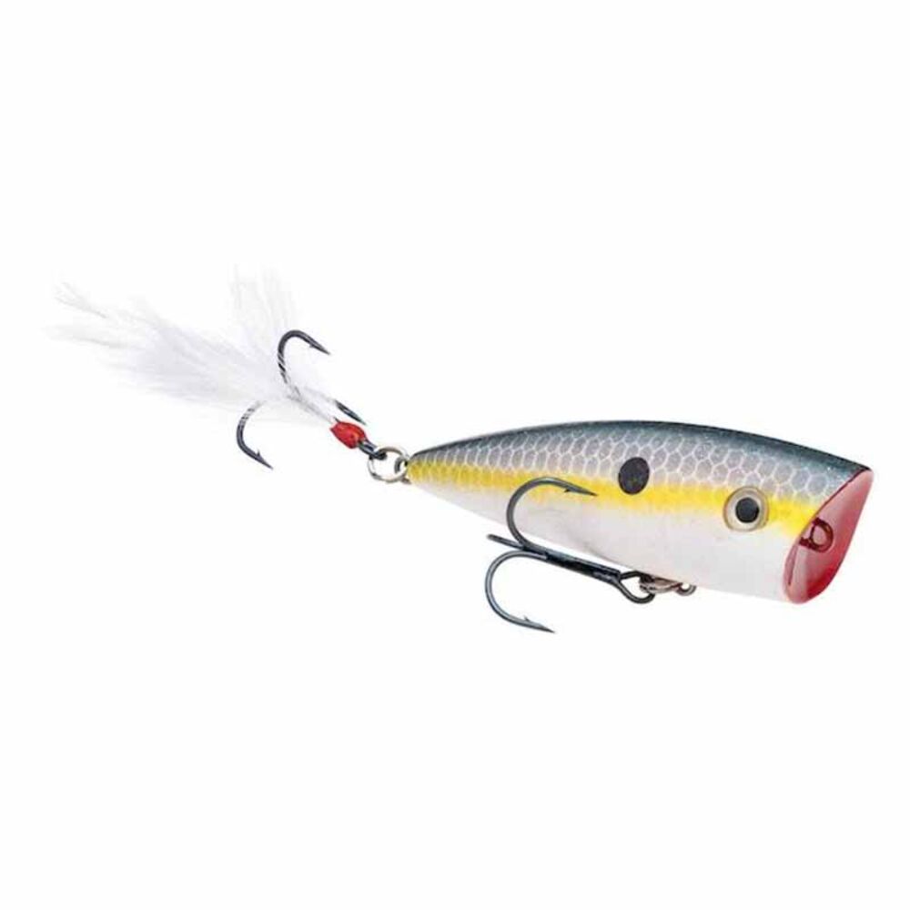 image of KVD Splash Jr Topwater Lure, Sexy Shad
