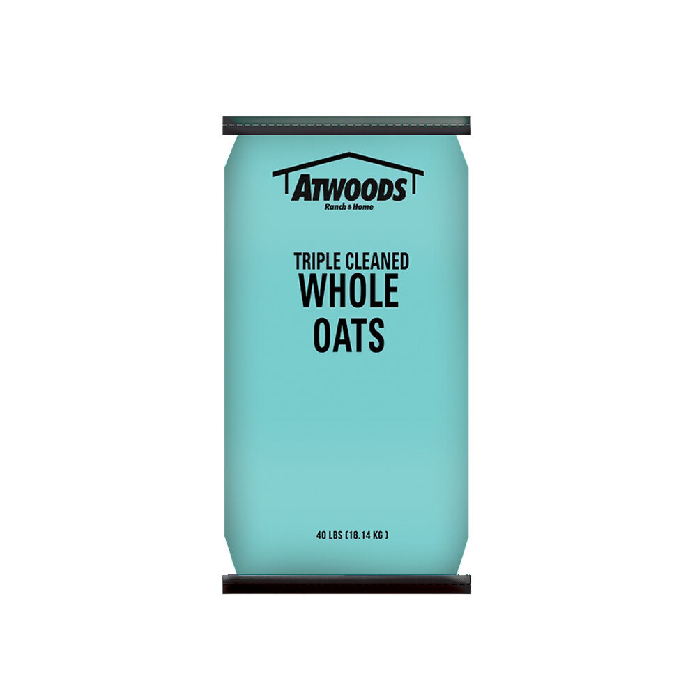image of Triple Cleaned Whole Oats, 40 lbs