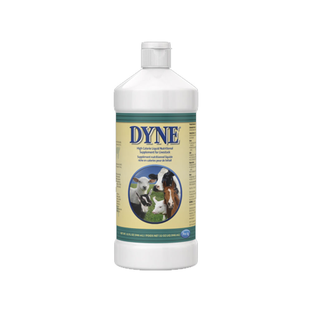 image of High Calorie Liquid Nutritional Supplement for Livestock, 32 oz