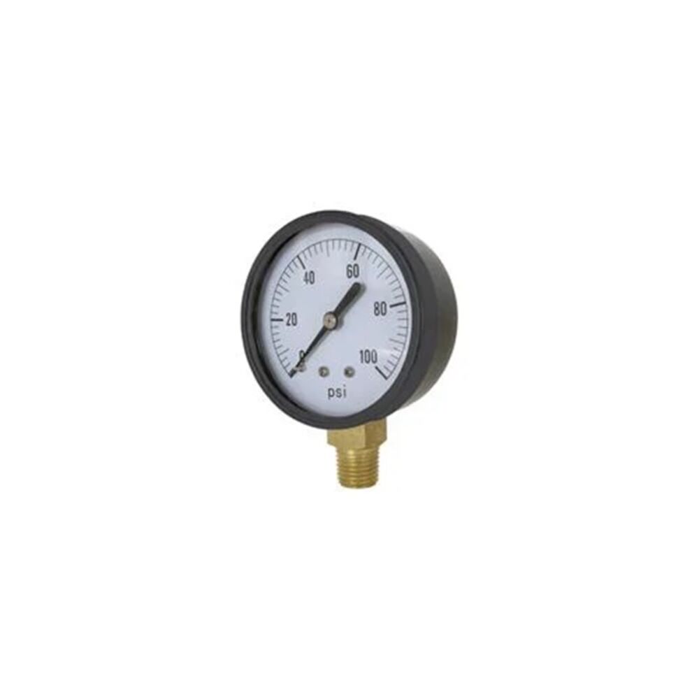 image of 2-in Bottom Mount ABS Case 200 PSI Dry Gauge