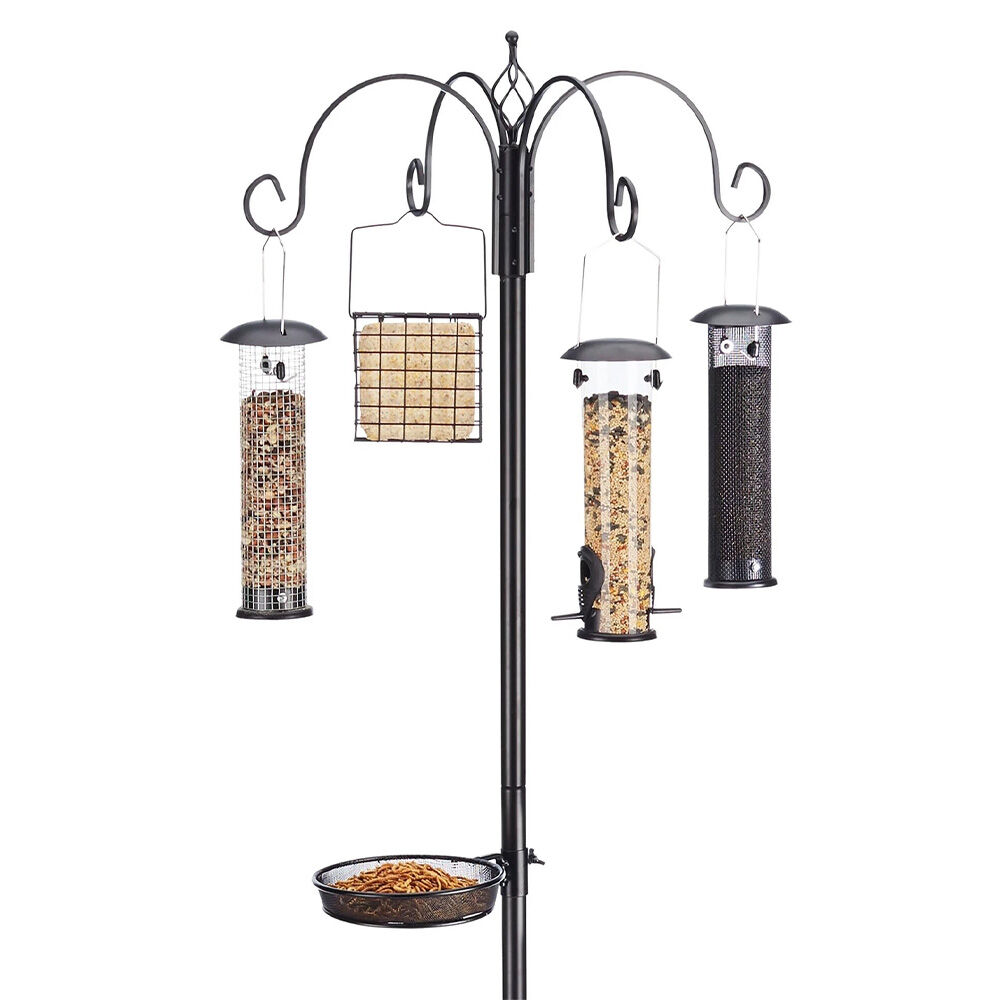 image of Ultimate Bird Feeding Station