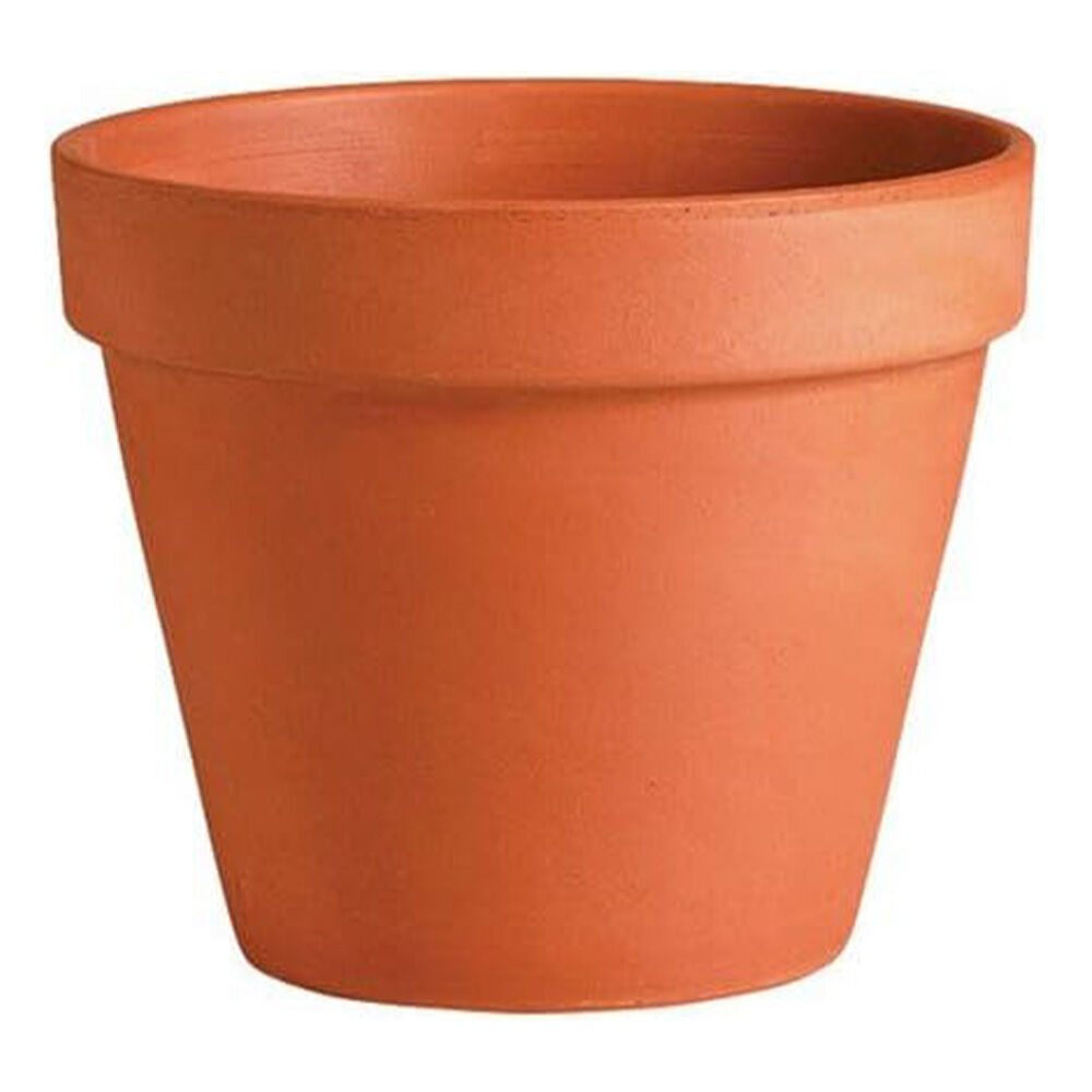 image of Terra Cotta Planter, 8 in