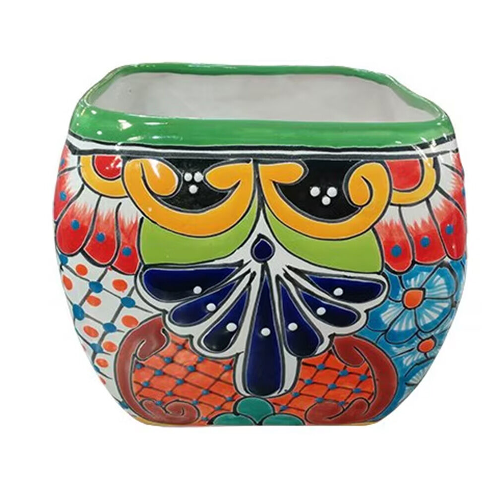 image of Assorted 5 in Bubble Planter (Style May Vary)