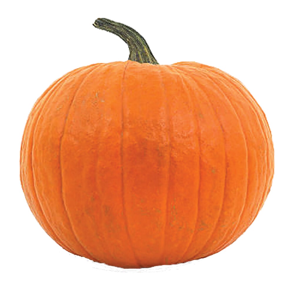 image of Carving Pumpkin