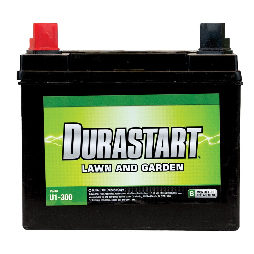 image of Lawn and Garden 12 V Battery