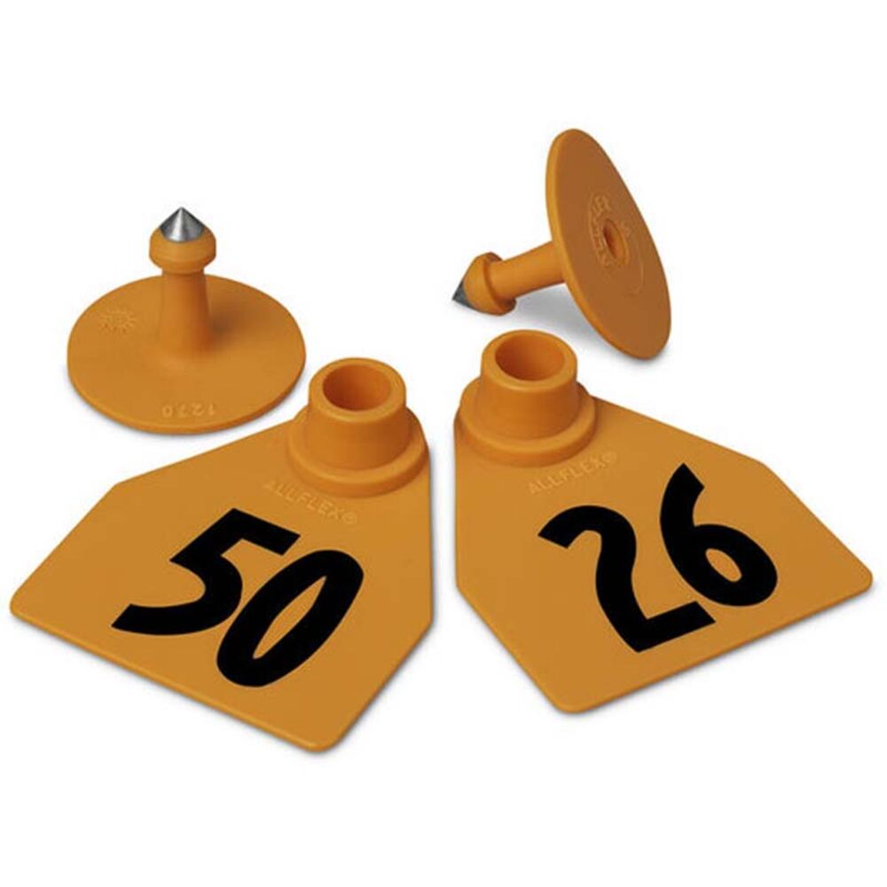 image of Numbered 2 Piece Tag, Medium,Orange, 25 count, 26 thru 50