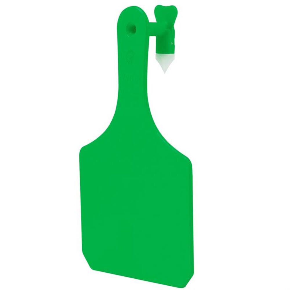 image of Large Blank Ear Tag, Chartreuse, 25 pk