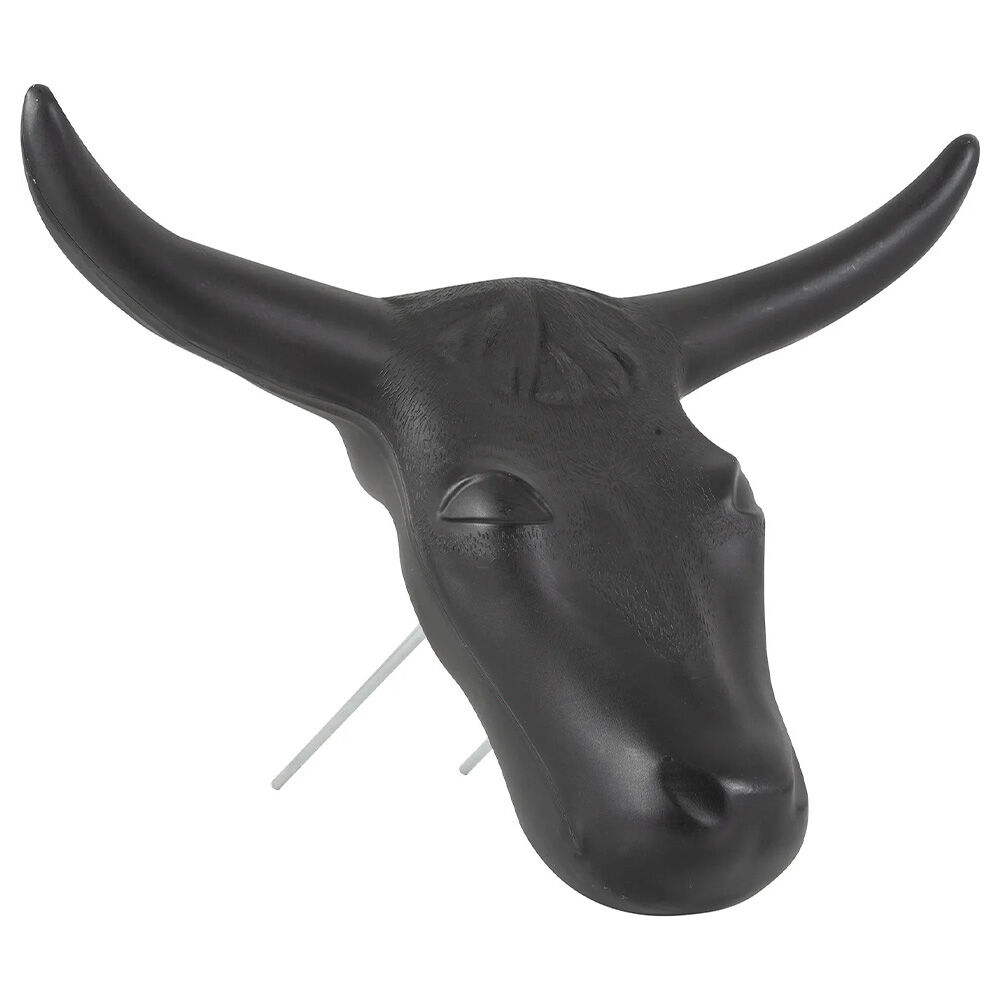 image of Steer Head