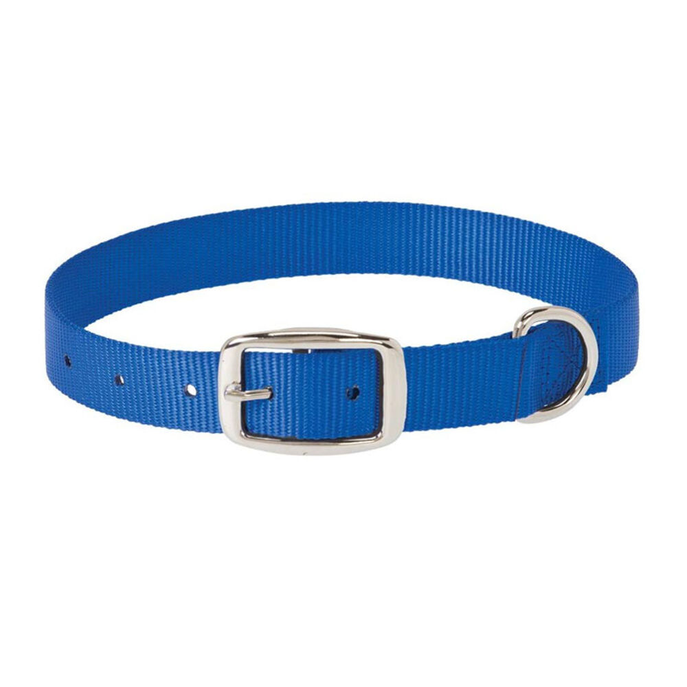 image of Choice Nylon Dog Collar, Blue, 3/4-inch X 17-inch
