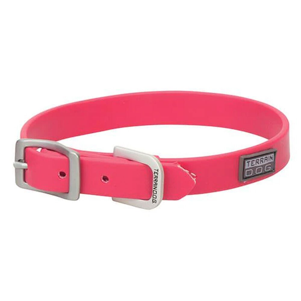 image of Brahma Webb Dog Collar, Hot Pink, 3/4 x 13-Inch