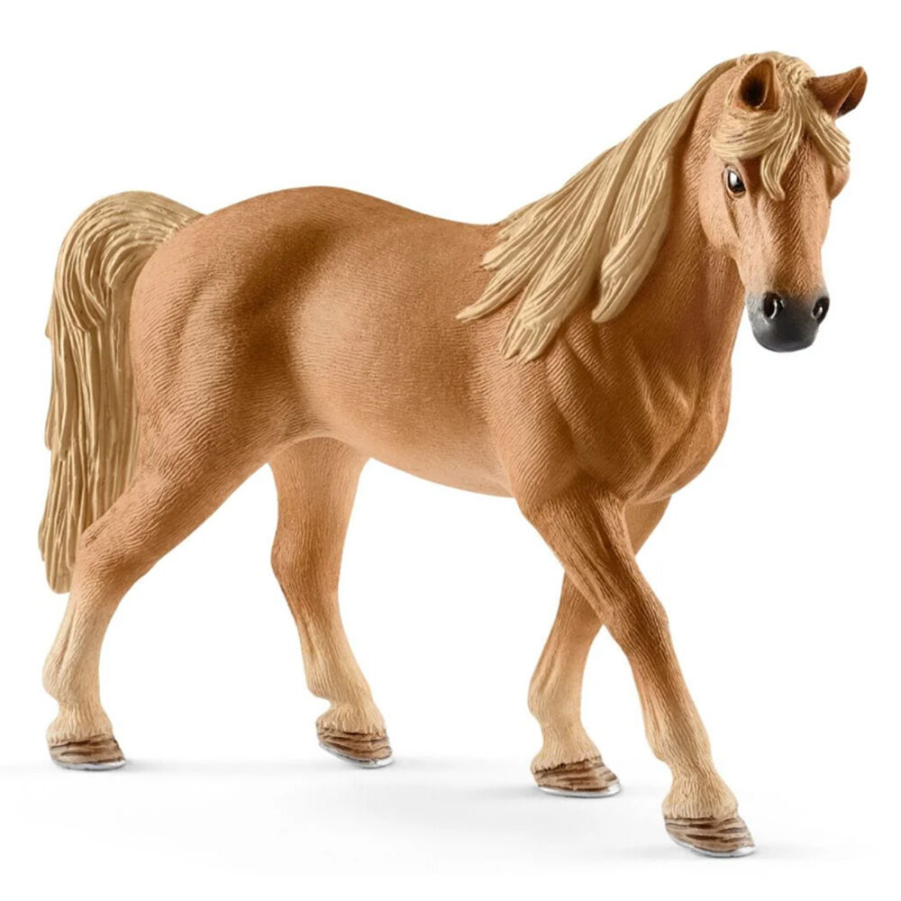 image of Tennessee Walker, mare