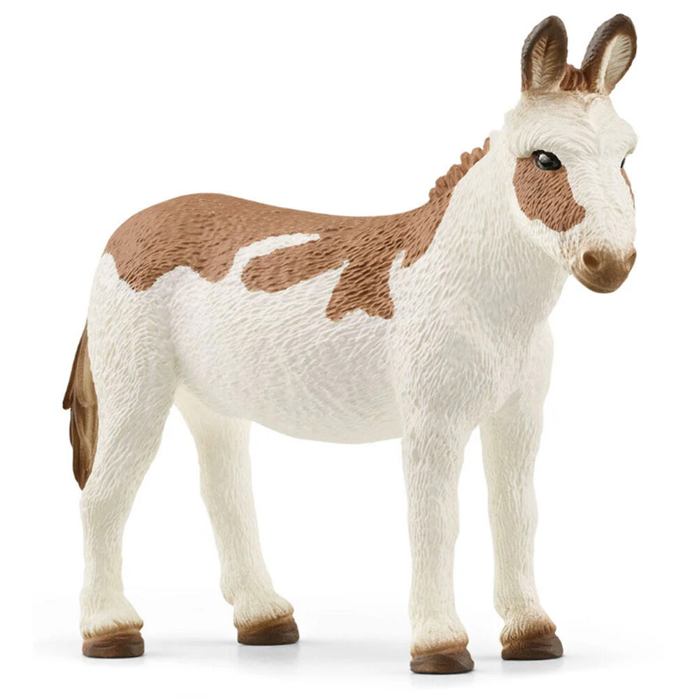 image of American Spotted Donkey