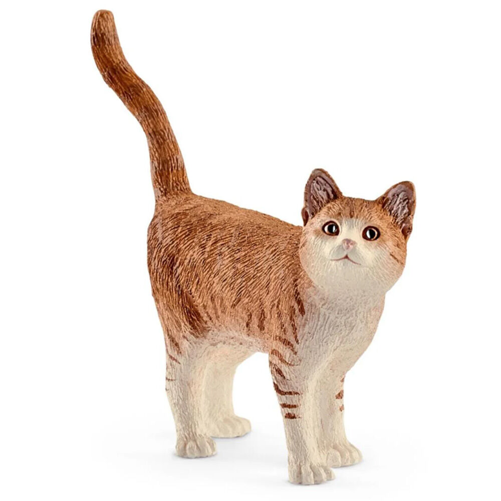 image of Cat