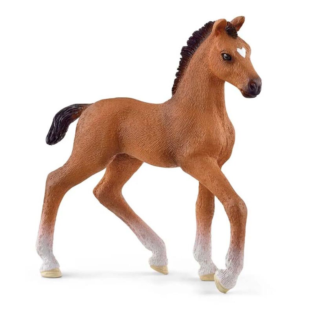 image of Oldenburger, foal