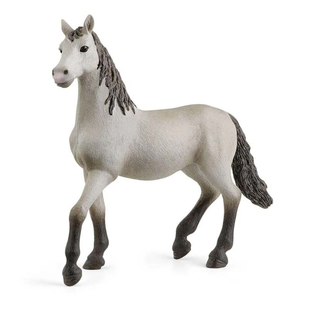 image of Pura Raza Española, young horse