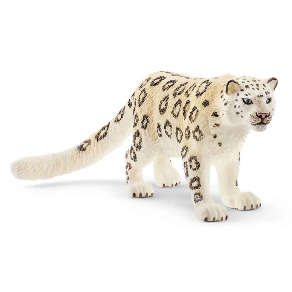 image of Snow Leopard