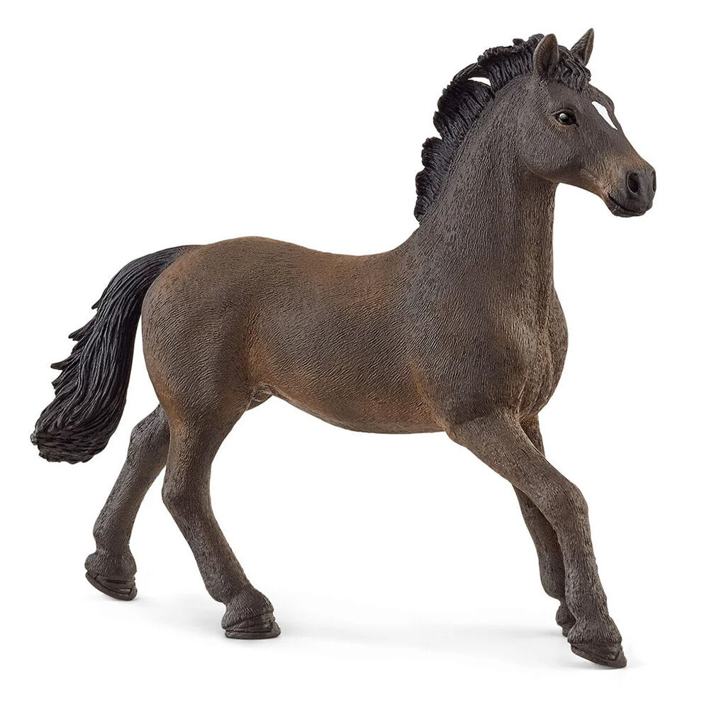 image of Oldenburger Stallion