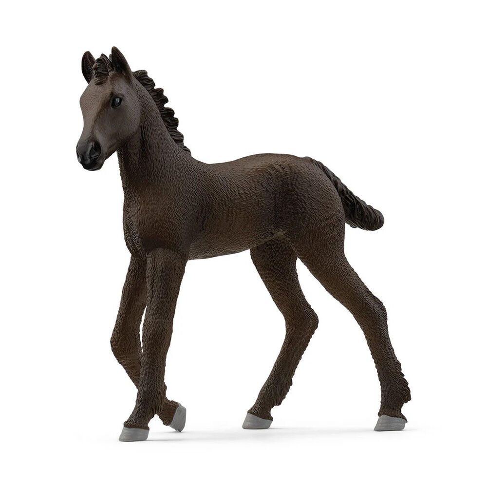 image of Friesian Foal