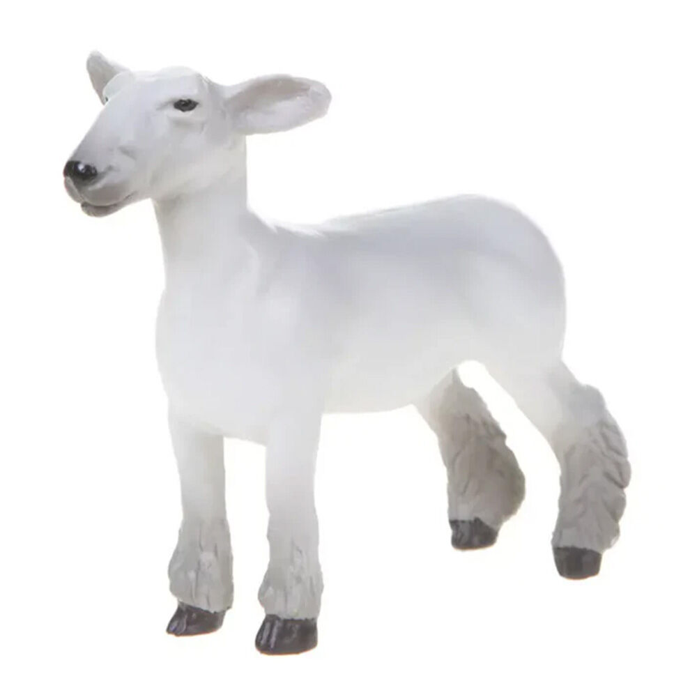 image of Champion Dorset Market Lamb