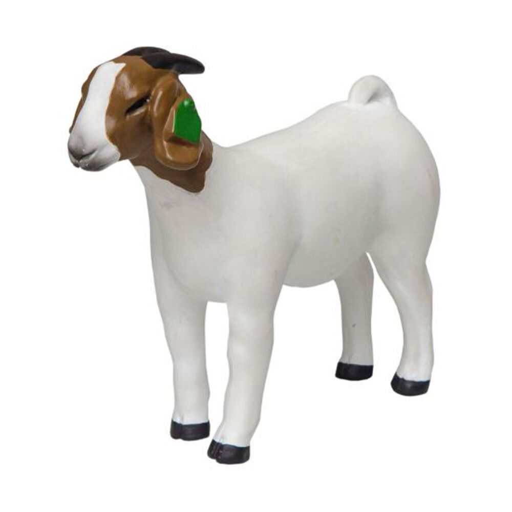 image of Grand Champion Boer Doe