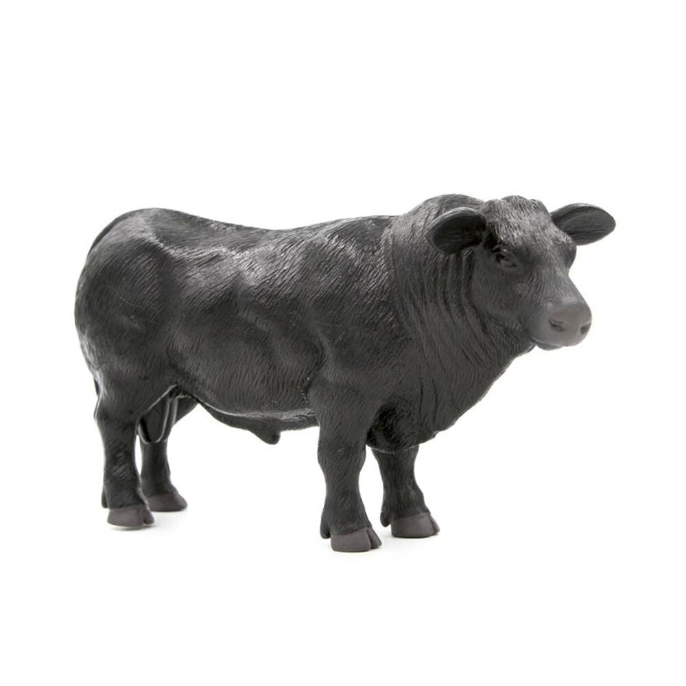 image of Angus Bull