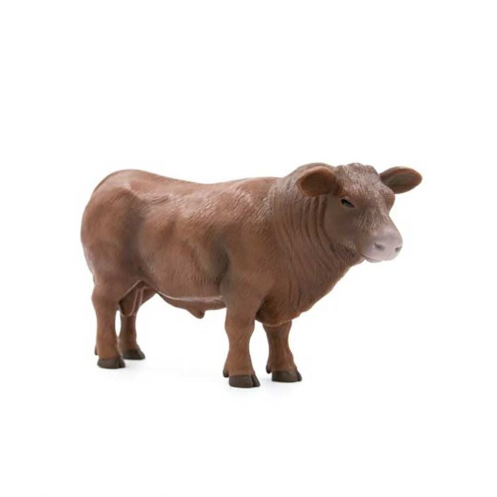 image of Red Angus Bull