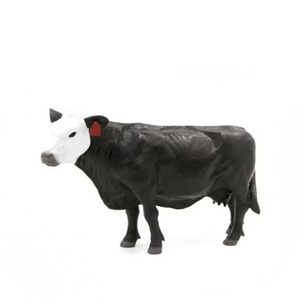 image of Black/White Face Cow