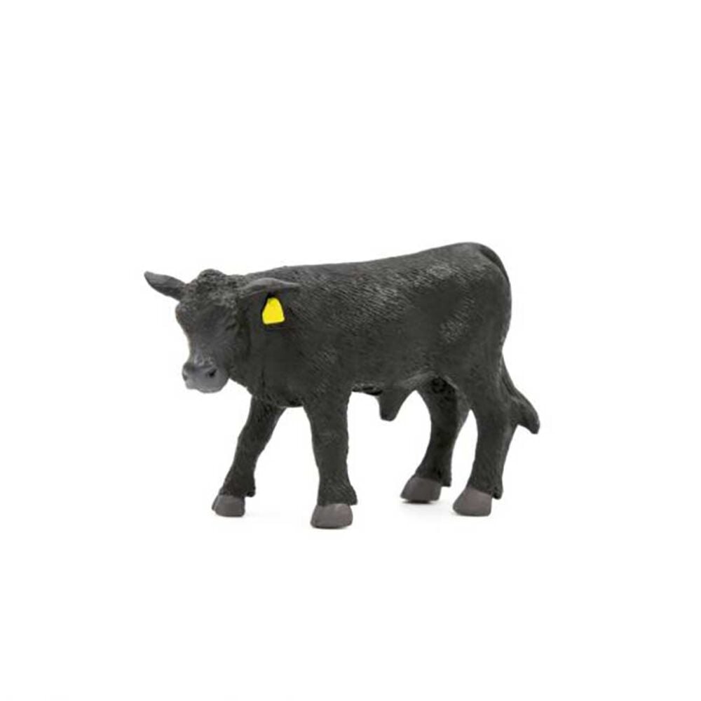 image of Angus Calf