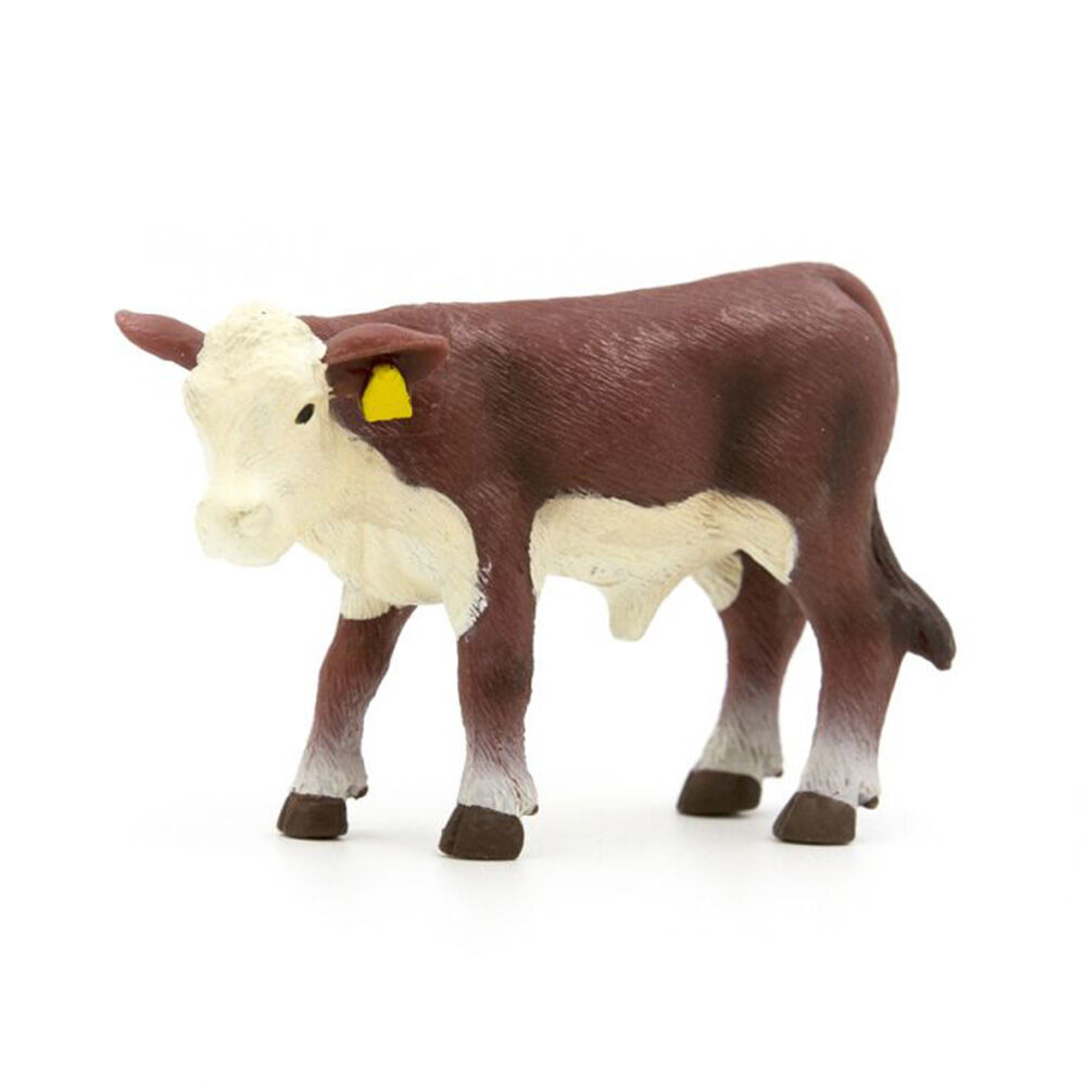 image of Hereford Calf