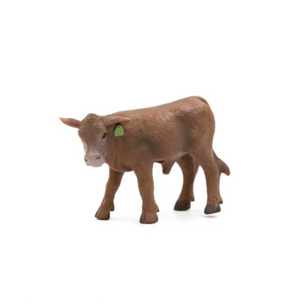 image of Red Angus Calf