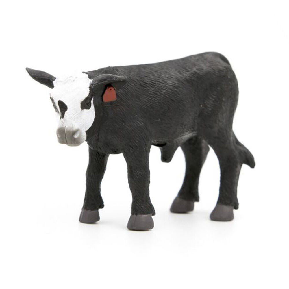 image of Black/White Face Calf