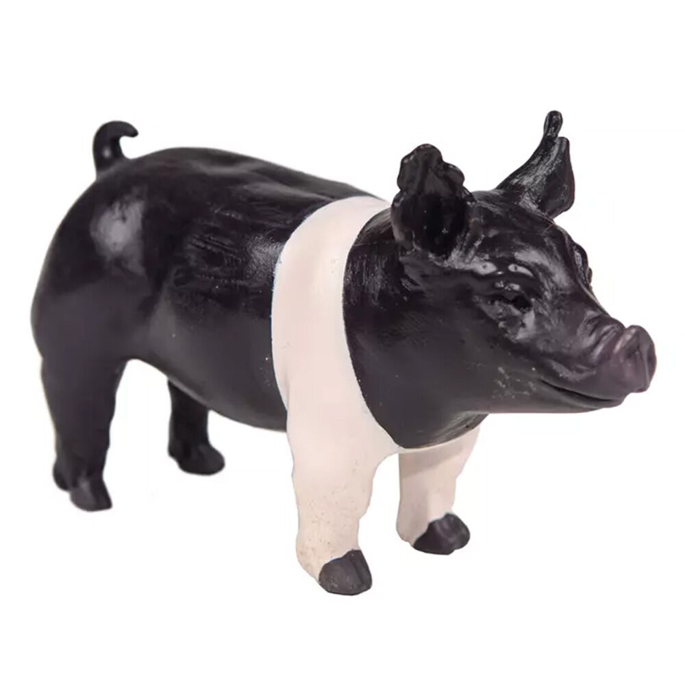 image of Champion Hampshire Show Pig