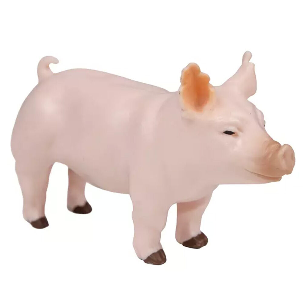 image of Champion Yorkshire Show Pig