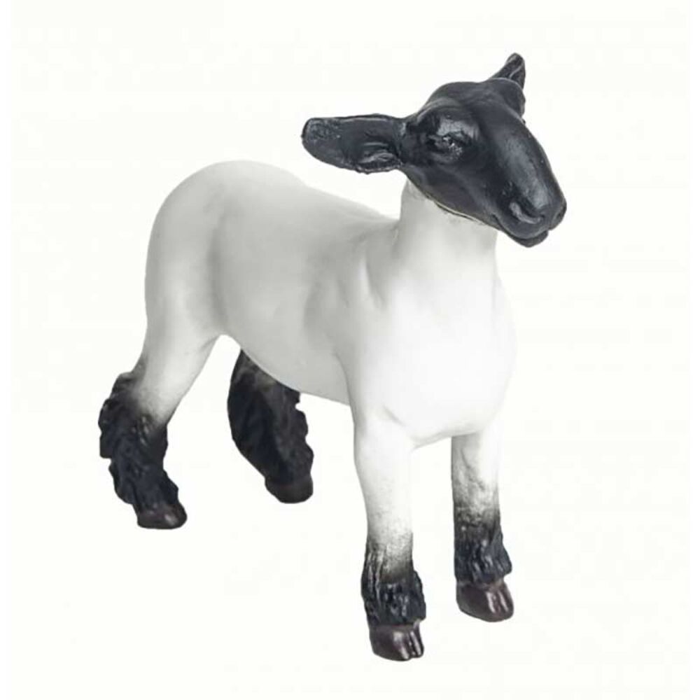 image of Champion Crossbred Market Lamb