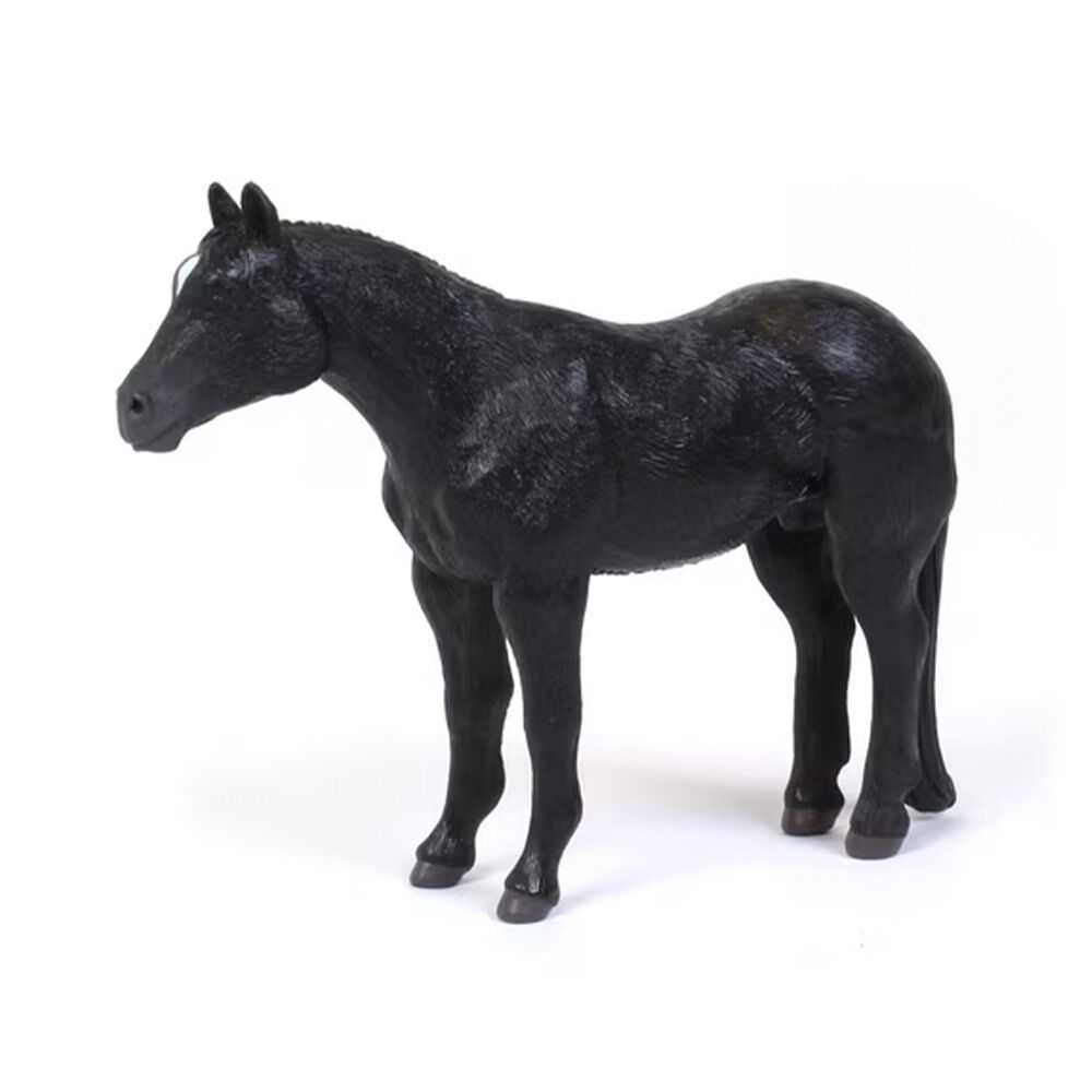 image of Black Quarter Horse
