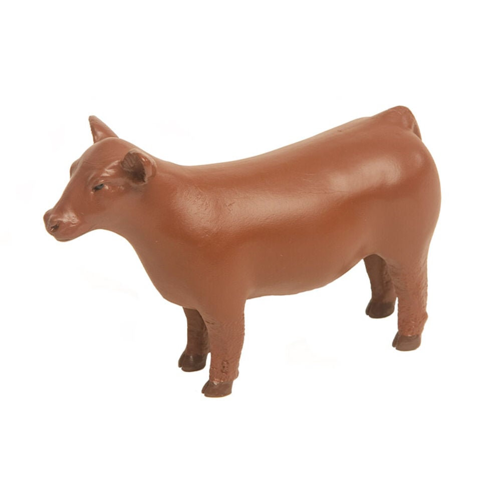 image of Red Champion Show Steer