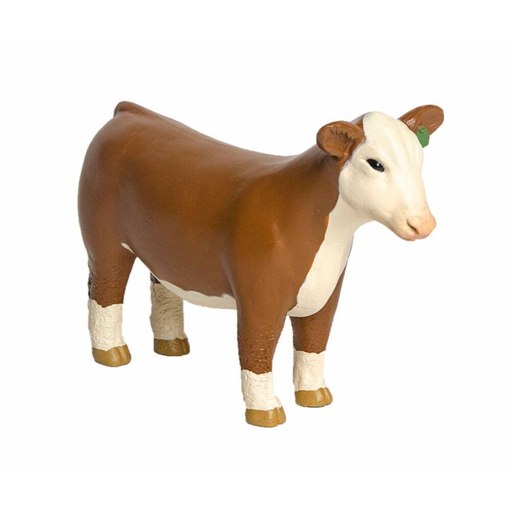 image of Champion Hereford Show Heifer
