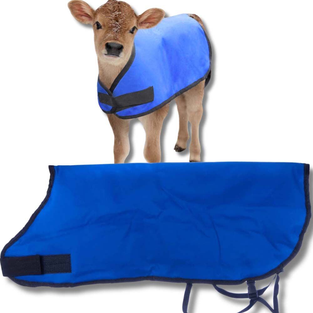 image of Water Resistant Insulated Calf Blanket - 200g Fill - Blue